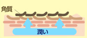 ocFwfwWhnXIuUpL1492657116_1492657178-thumbnail2.png